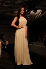 Elli Avram at RRISO Show at Lakme Fashion Week 2015 Day 5 on 22nd March 2015